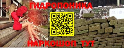 мдпв Пушкино