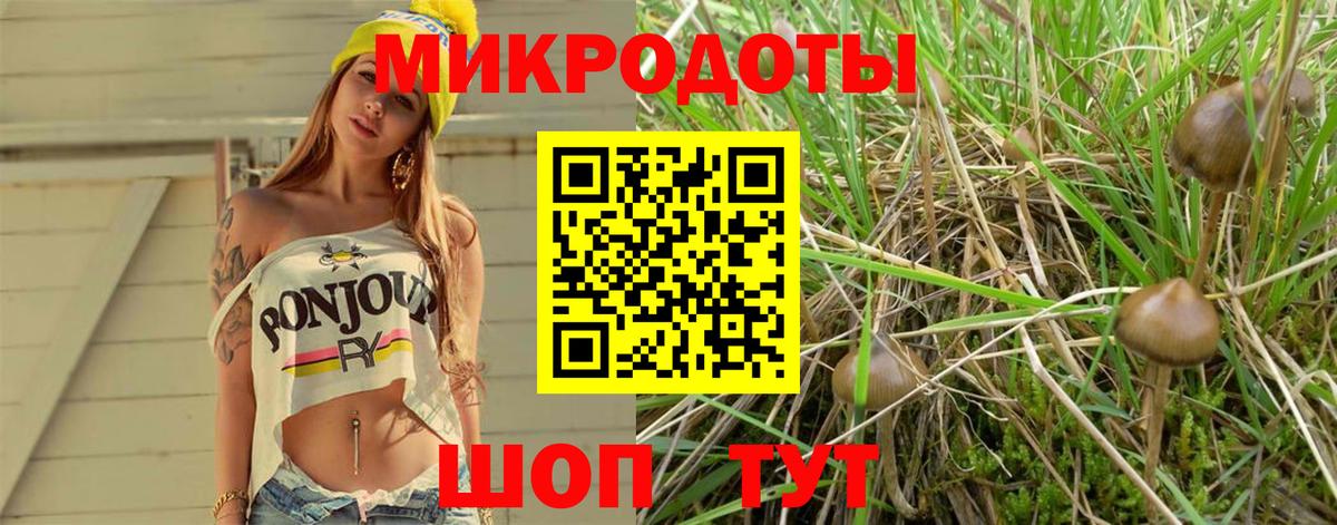 Галлюциногенные грибы Cubensis Самара