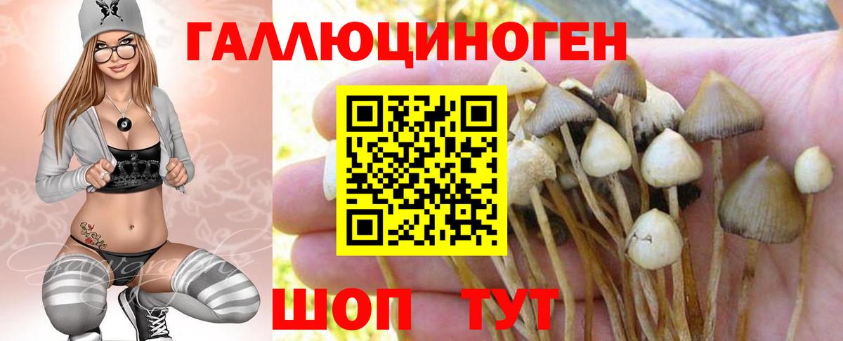 Самара  Галлюциногенные грибы прущие грибы  Галлюциногенные грибы Cubensis  Вход с VPN 